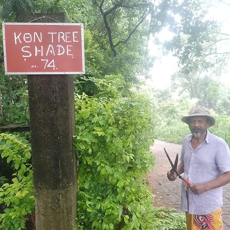 담불라 Kon Tree Shade 아파트 외부 사진