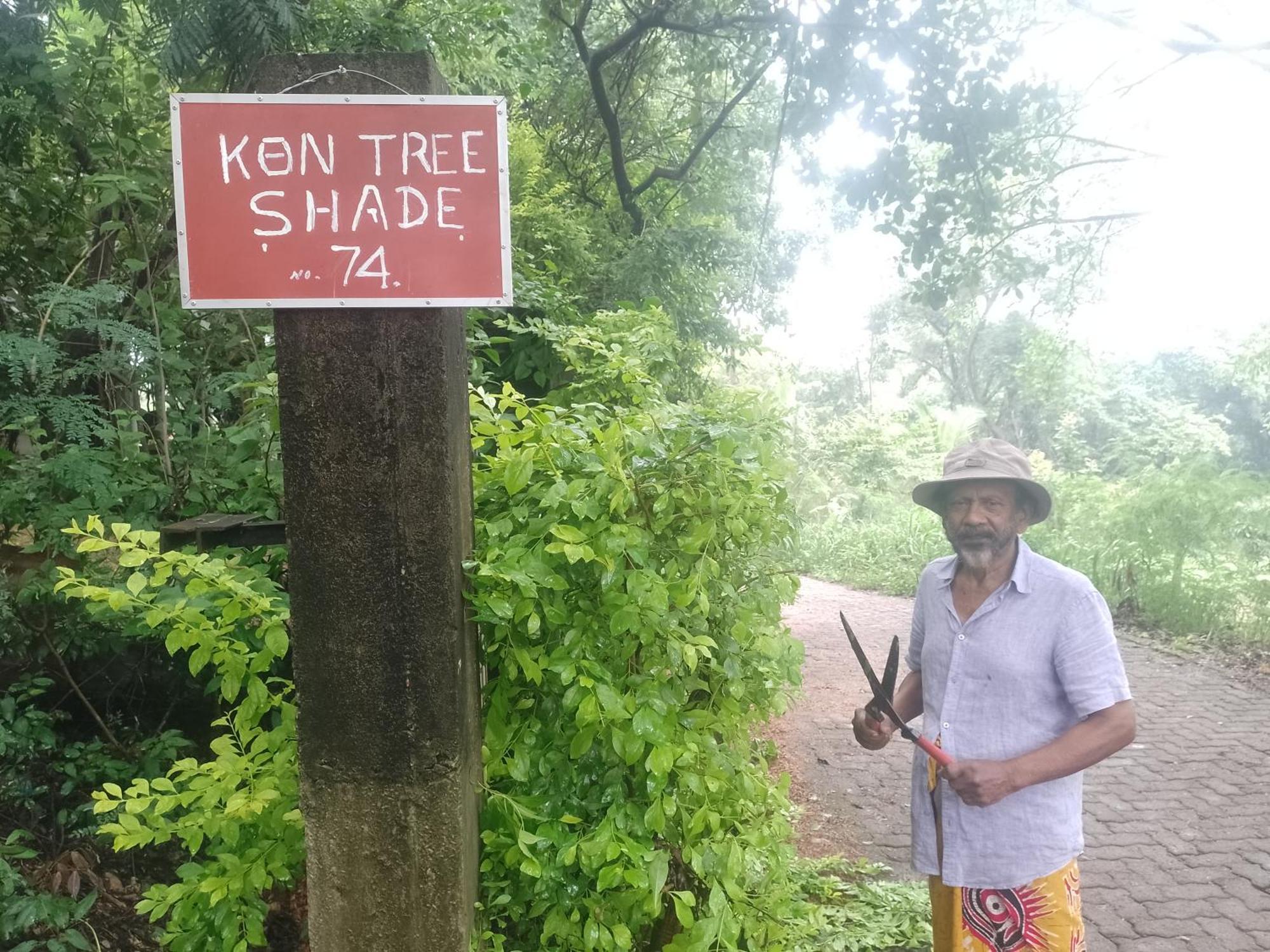 담불라 Kon Tree Shade 아파트 외부 사진